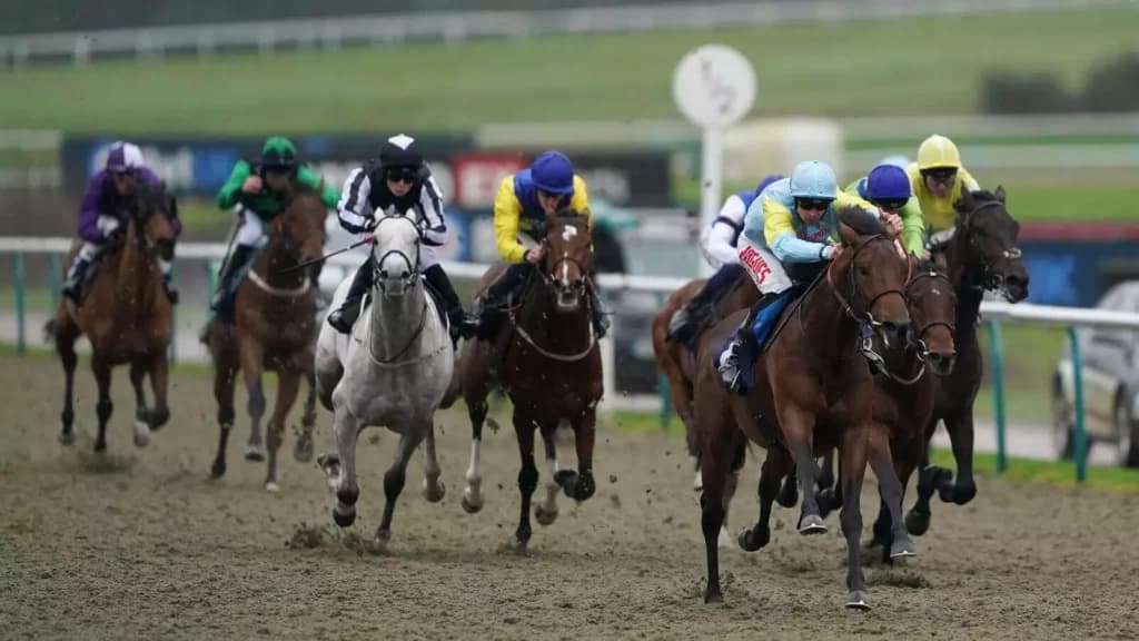 Saturday's Horse Racing Tips: Lingfield, January 21st