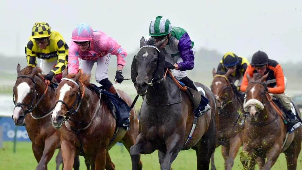 Thursday’s Horse Racing Tips: Newmarket, June 29h