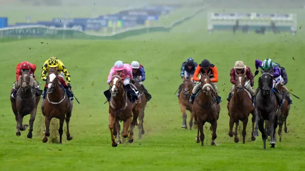Friday’s Horse Racing Tips: Newmarket, July 14th