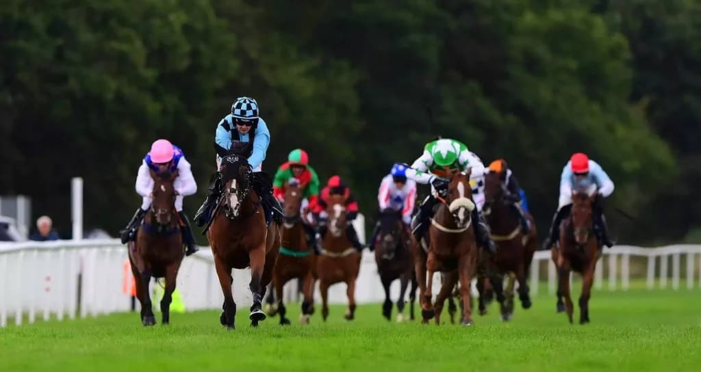 Tuesday’s Horse Racing Tips: Newton Abbot, August 22nd