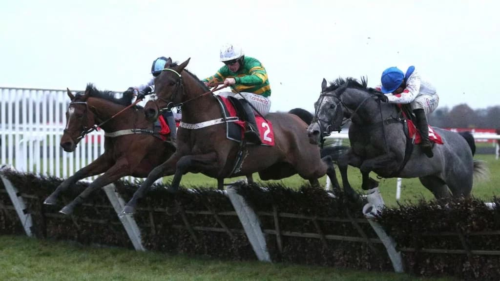 Saturday's Horse Racing Tips: Kempton, Warwick, January 14th