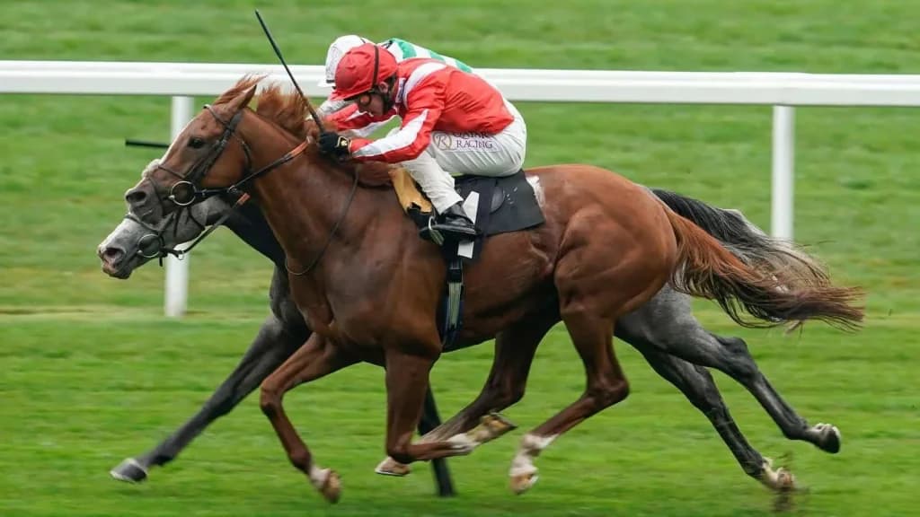 Friday's Horse Racing Tips: Ascot, September 6th