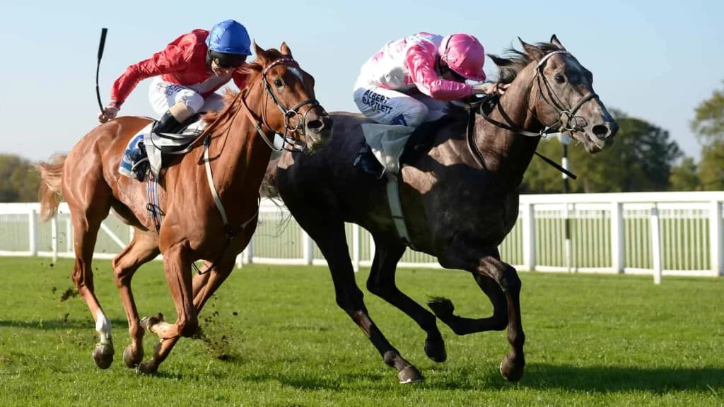Sunday’s Horse Racing Tips: Windsor, January 19th