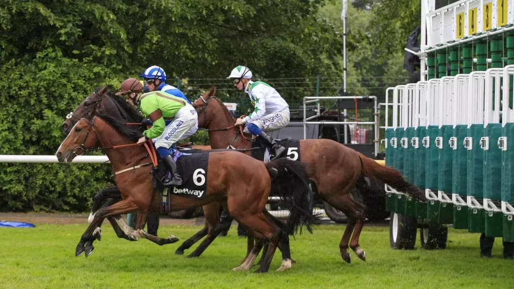 Wednesday’s Horse Racing Tips: Haydock, June 14th