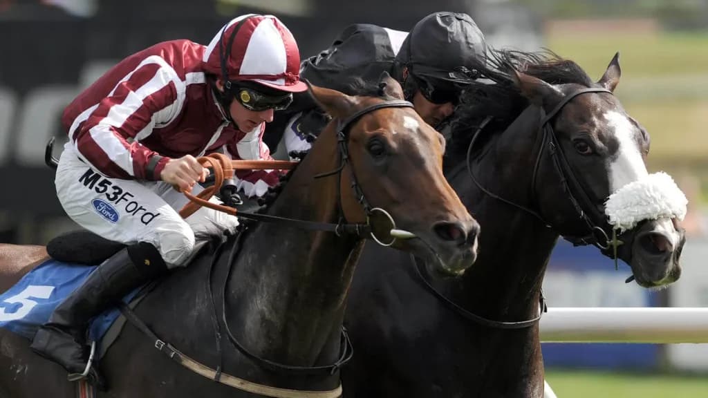 Tuesday's Horse Racing Tips: Catterick, February 27th