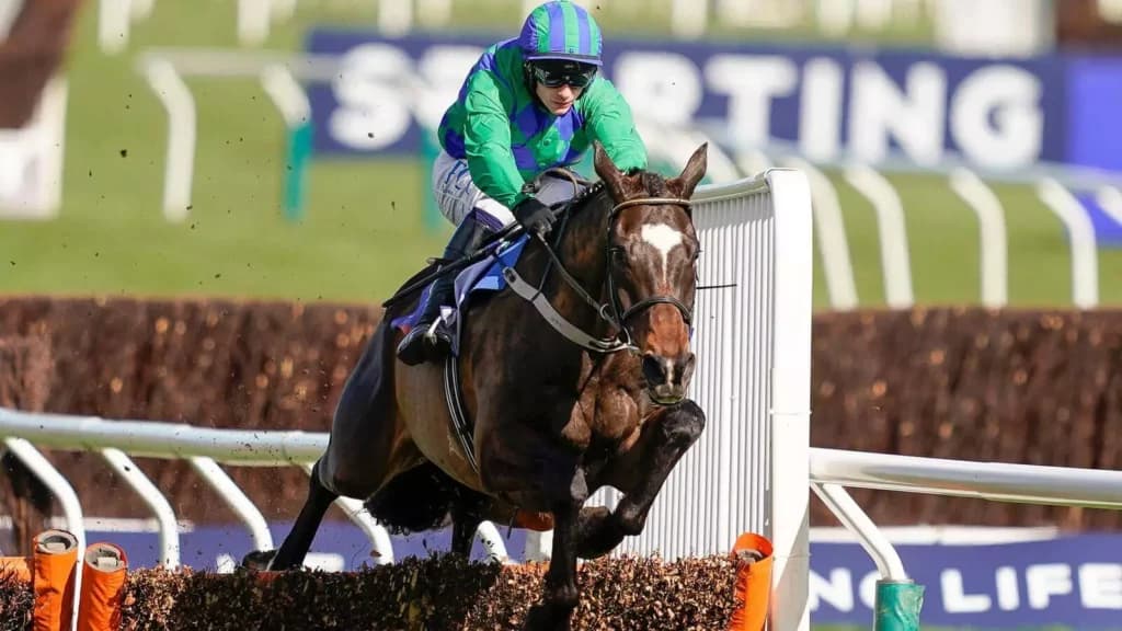 5 horses to follow from the 2023 Cheltenham Festival