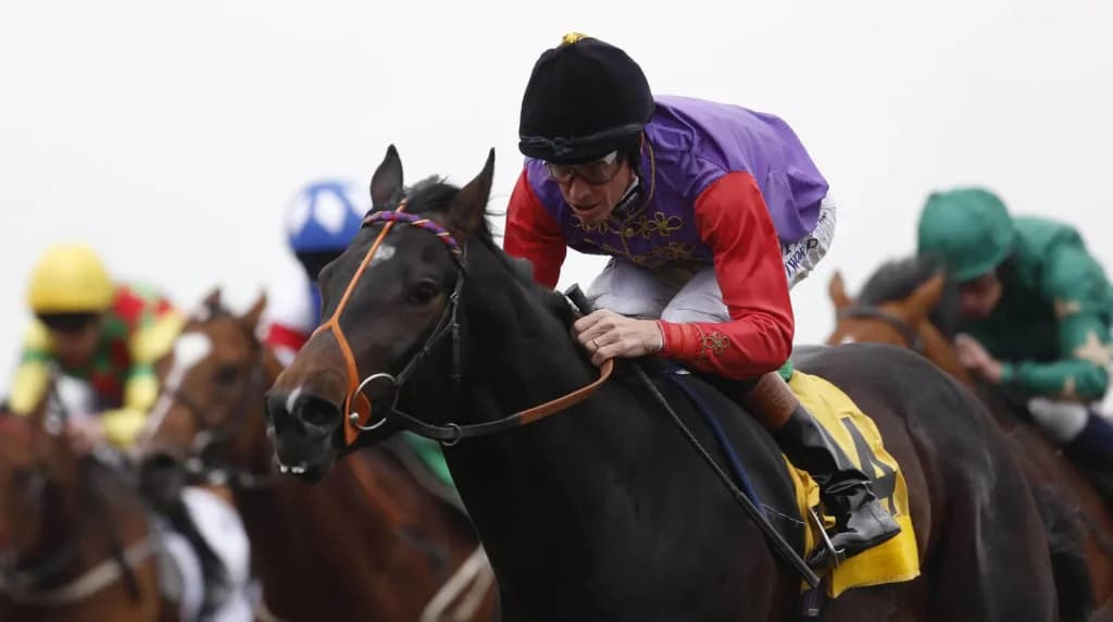 Saturday’s Horse Racing Tips: Kempton, Wetherby, Warwrick January 13th