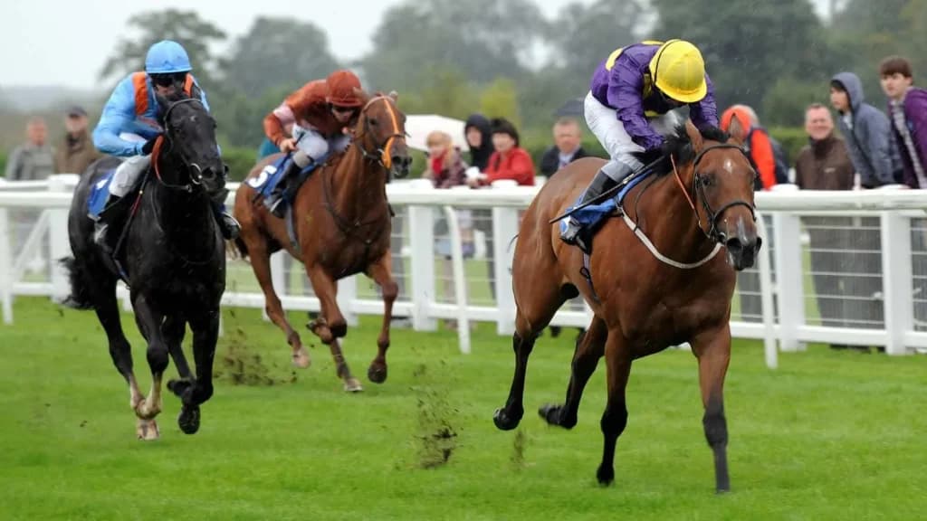 Thursday's Horse Racing Tips Ripon, May30th