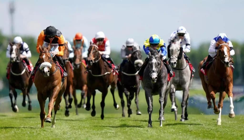 Thursday’s Horse Racing Tips: Haydock, September 1st