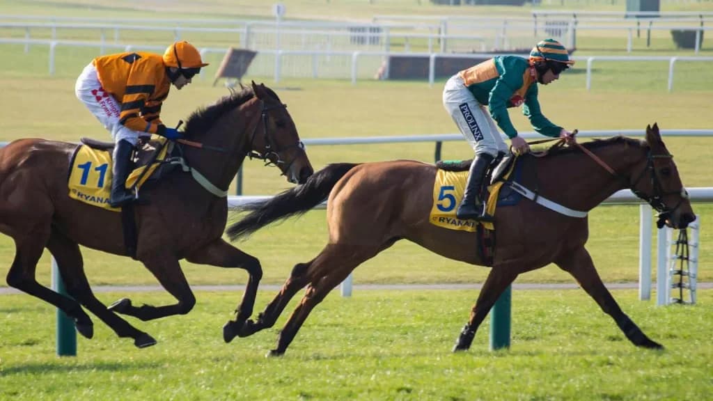 Cheltenham Day 4 Horse Racing Tips: Friday, March 15th