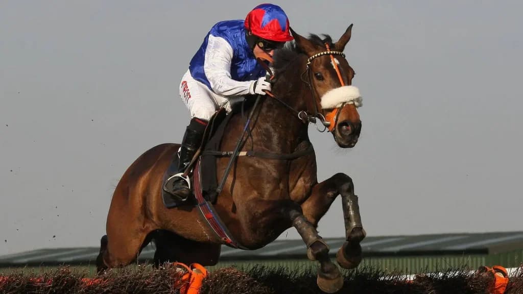 Monday's Horse Racing Tips: Plumpton, March 11th