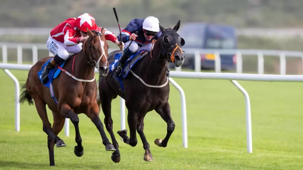 Wednesday’s Horse Racing Tips: Ffos Las, March 22nd