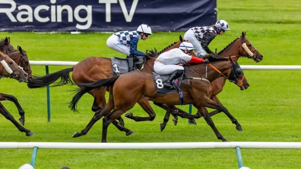 Monday's Horse Racing Tips: Ayr, July 29th