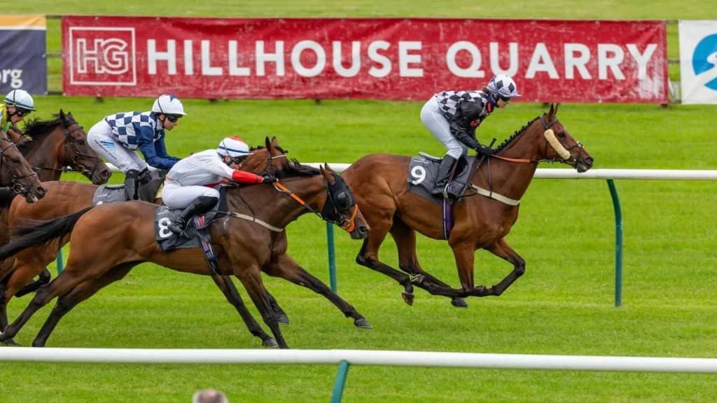 Thursday's Horse Racing Tips: Ayr, January 2nd