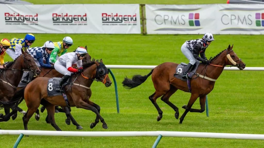 Wednesday’s Horse Racing Tips: Ayr, November 15th