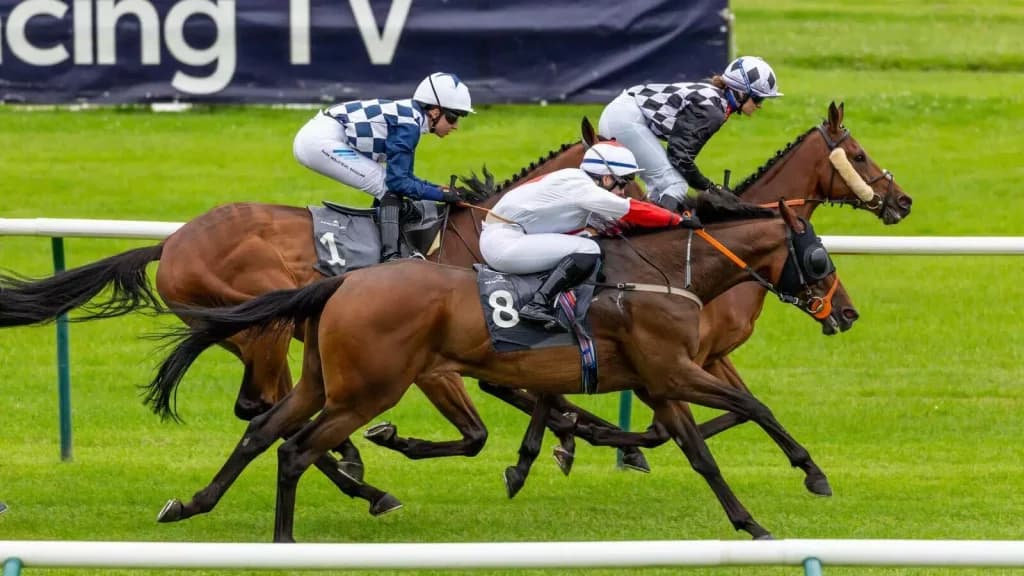 Thursday’s Horse Racing Tips: Ayr, October 12th