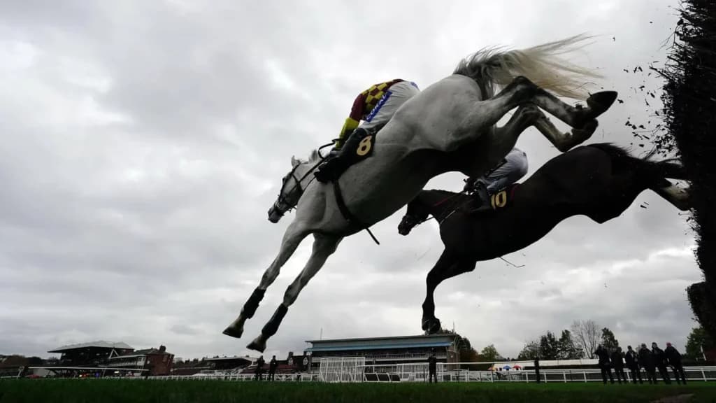 Thursday’s Horse Racing Tips: Warwick, December 8th