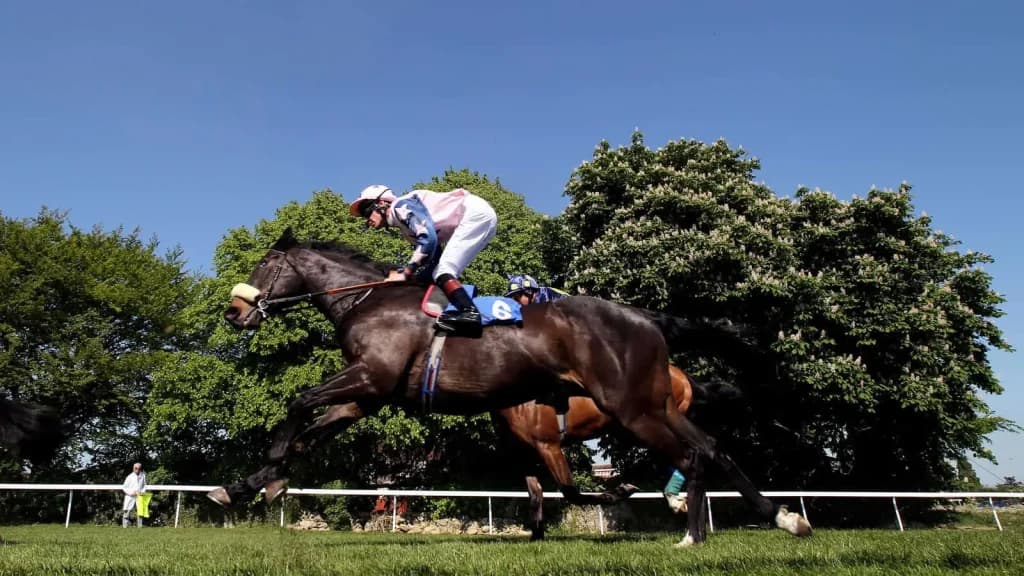 Wednesday's Horse Racing Tips: Bath, September 4th