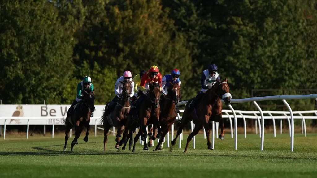 Saturday’s Horse Racing Tips: Newbury, Taunton, Haydock, December 30th