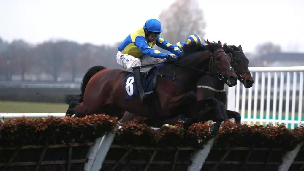Wednesday’s Horse Racing Tips: Wetherby, November 23rd