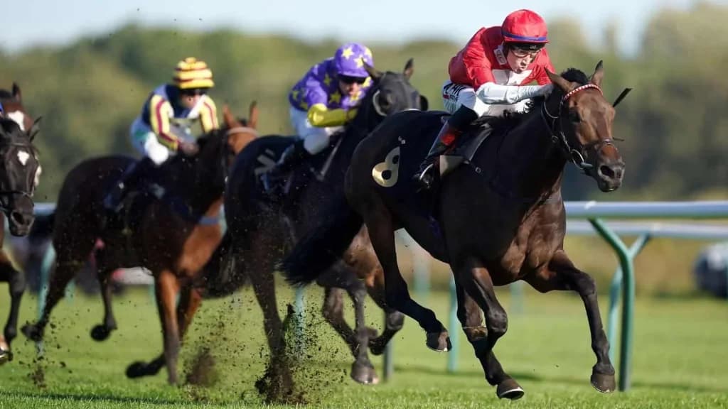 Wednesday's Horse Racing Tips: Nottingham, October 16th