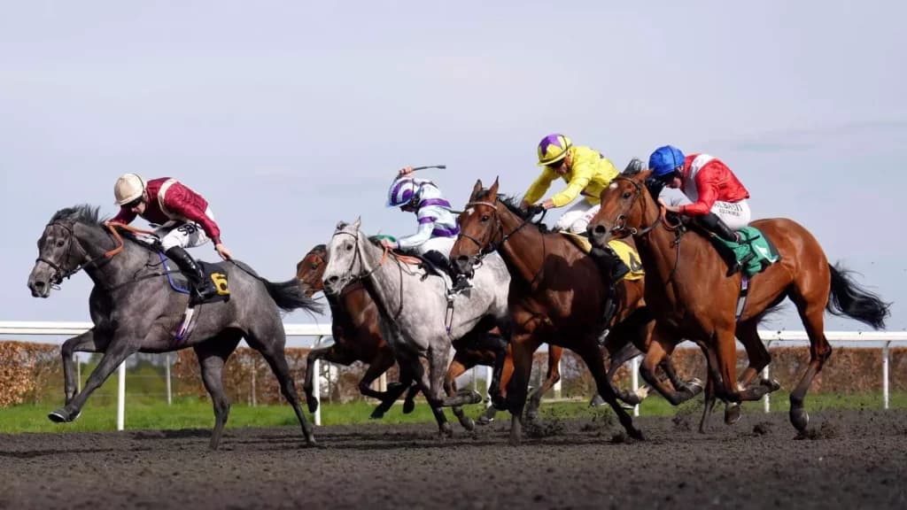Sunday’s Horse Racing Tips: Kemptom, October 16th