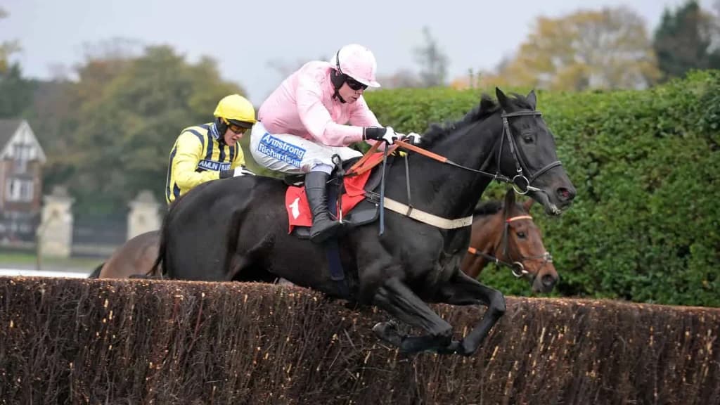 Thursday's Horse Racing Tips: Sandown, July 25th