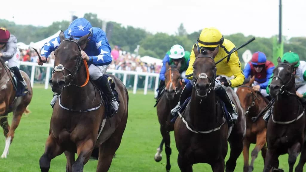 Friday’s Horse Racing Tips: Ascot, July 28th