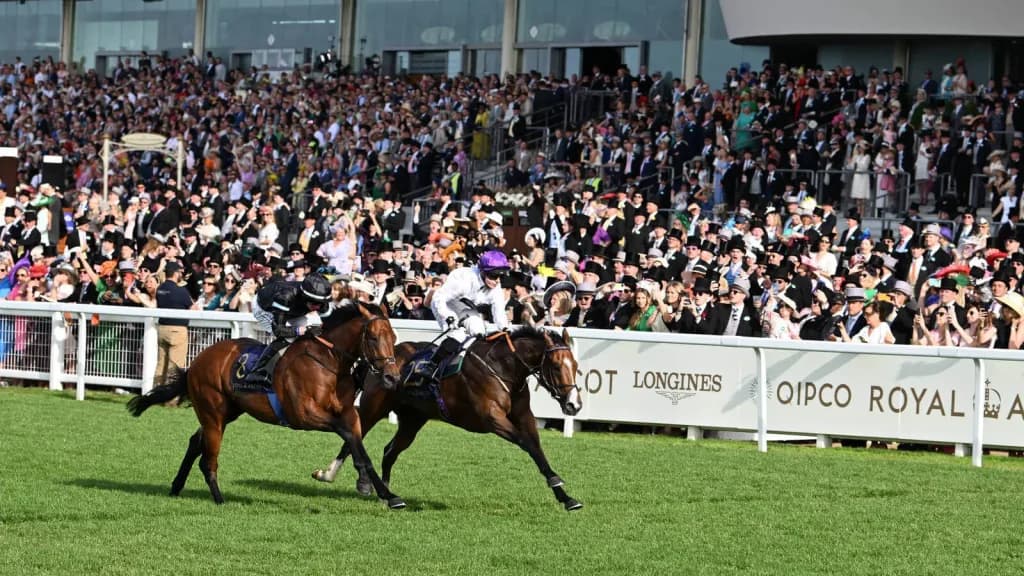 Saturday’s Horse Racing Tips: Ascot, York, July 29th