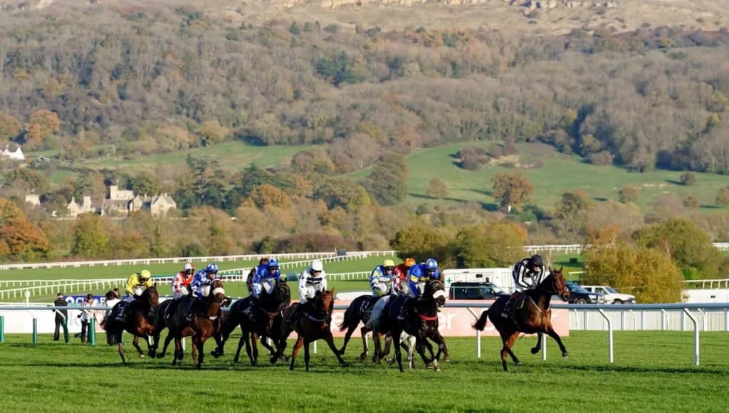 Friday’s Horse Racing Tips: Cheltenham, December 9th
