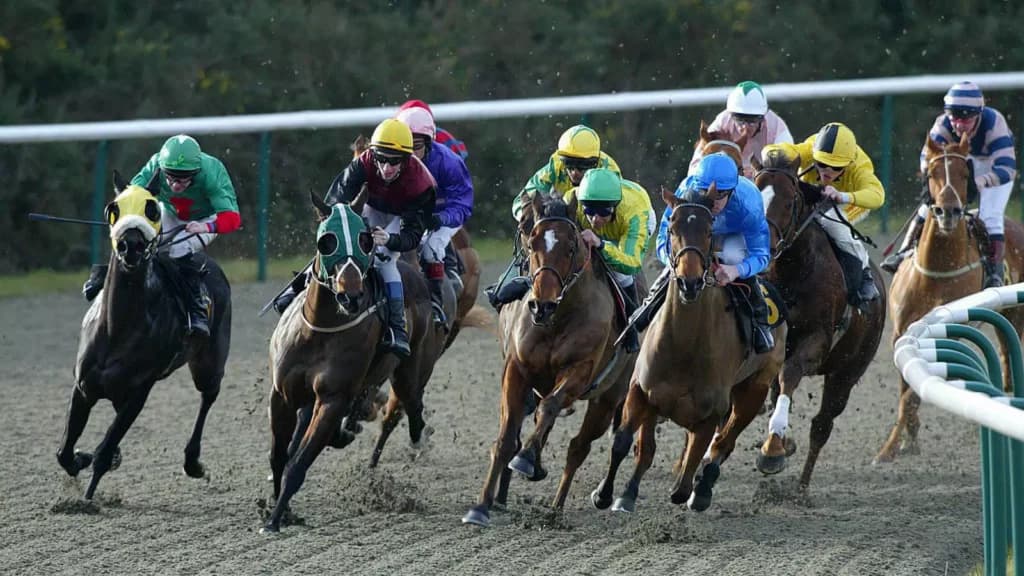 Saturday's Horse Racing Tips: Lingfield, Chelmsford, December 17th