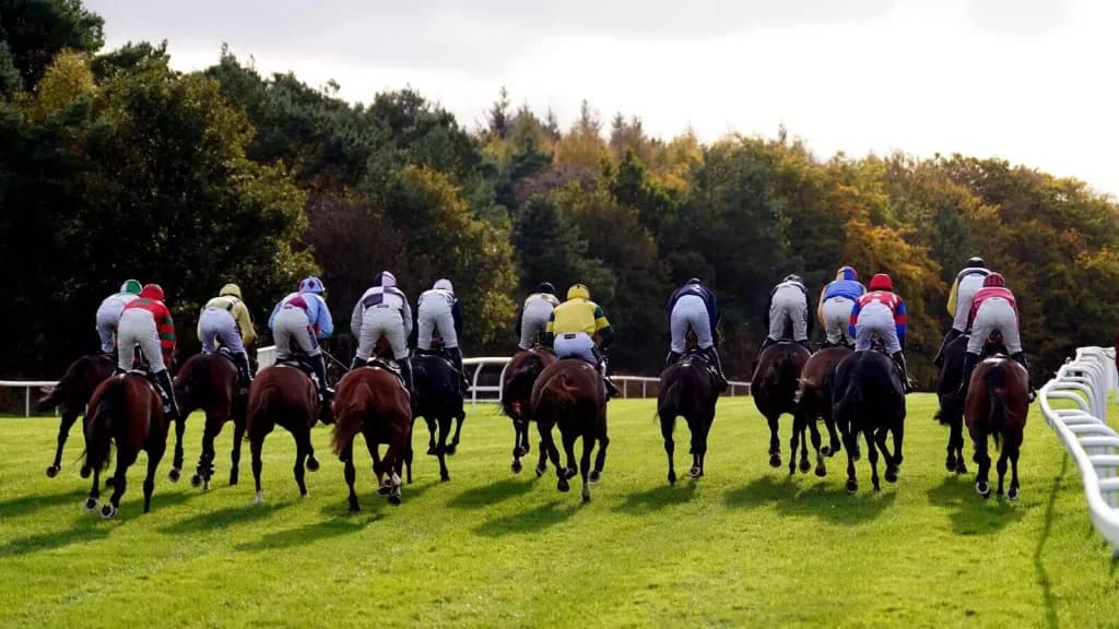 Sunday’s Horse Racing Tips: Exeter, November 26th