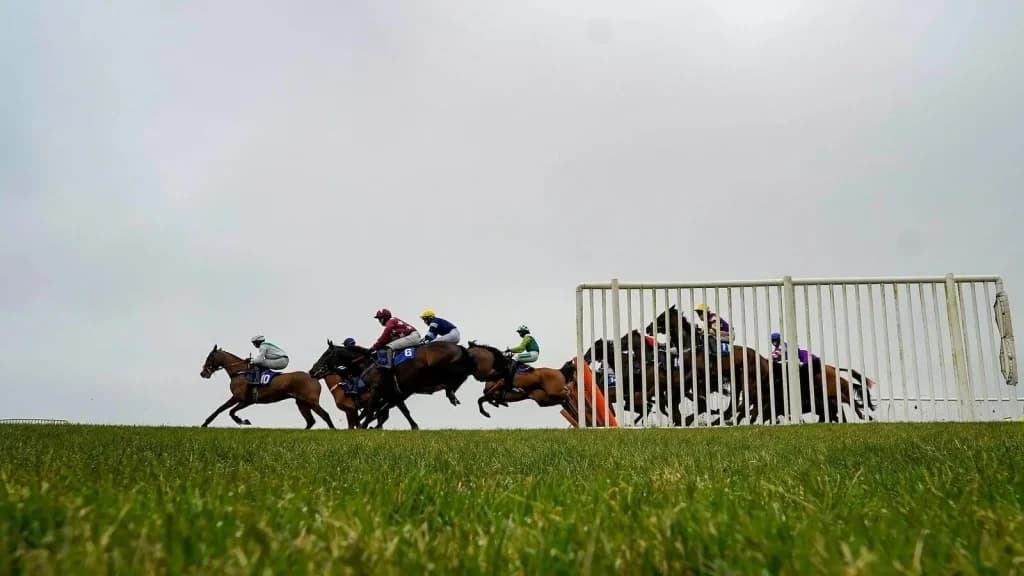 Friday's Horse Racing Tips: Wincanton, January 12th