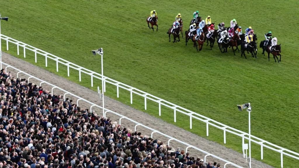 Friday’s Horse Racing Tips: Cheltenham, October 21st