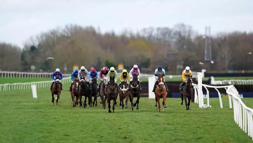 Thursday’s Horse Racing Tips: Catterick, January 12th