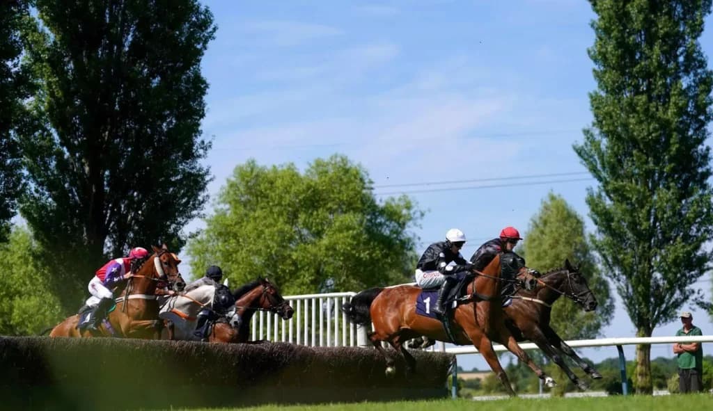 Wednesday’s Horse Racing Tips: Wolverhampton, January 18th