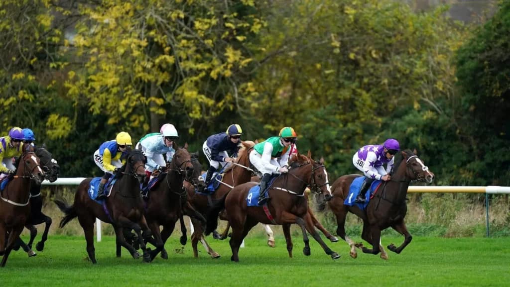 Wednesday’s Horse Racing Tips: Leicester, December 7th