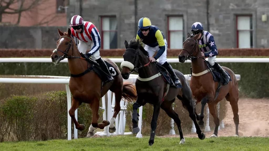 Tuesday’s Horse Racing Tips: Musselburgh, January 3rd