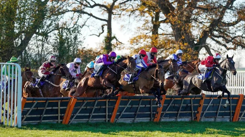 Tuesday's Horse Racing Tips: Taunton, February 20th
