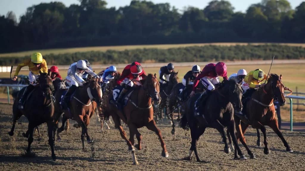 Wednesday’s Horse Racing Tips: Lingfield, December 14th