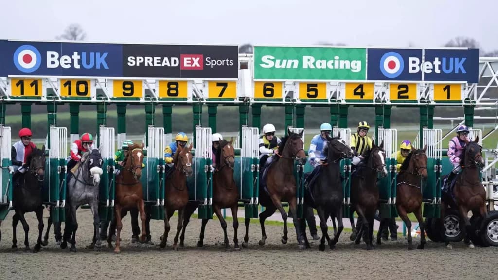 Sunday’s Horse Racing Tips: Lingfield, January 22nd