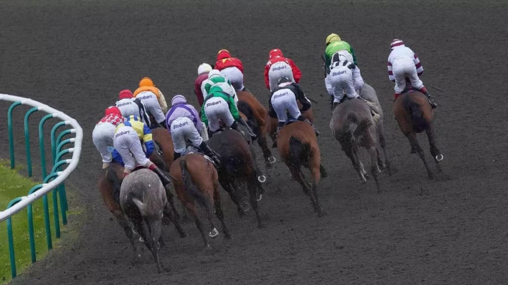Monday’s Horse Racing Tips: Lingfield, December 19th