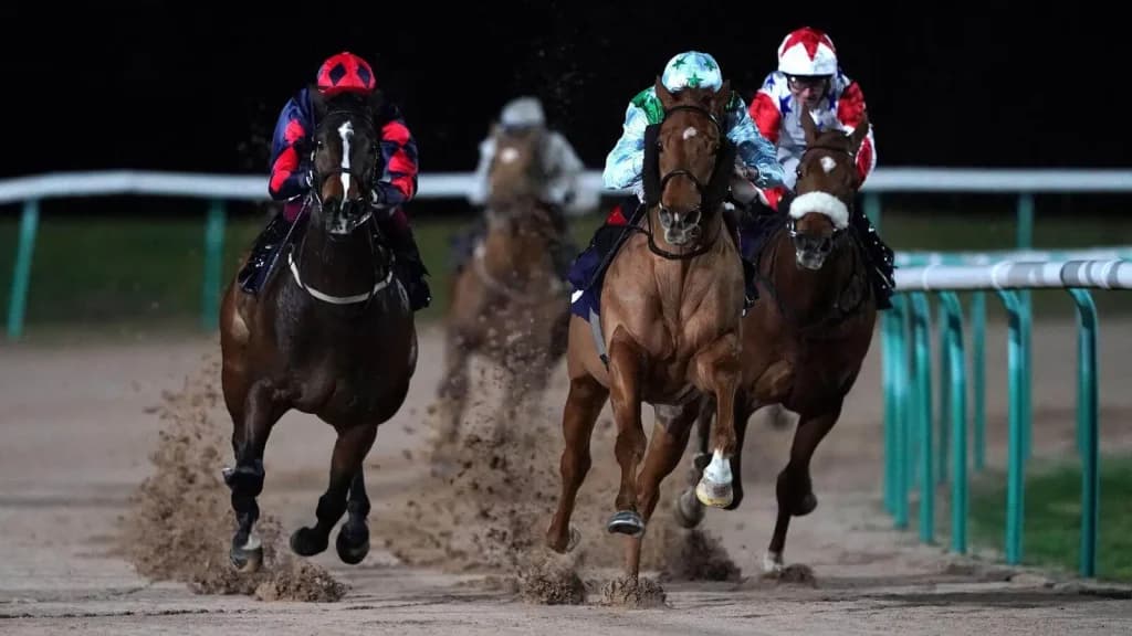 Sunday’s Horse Racing Tips: Southwell, February 18th