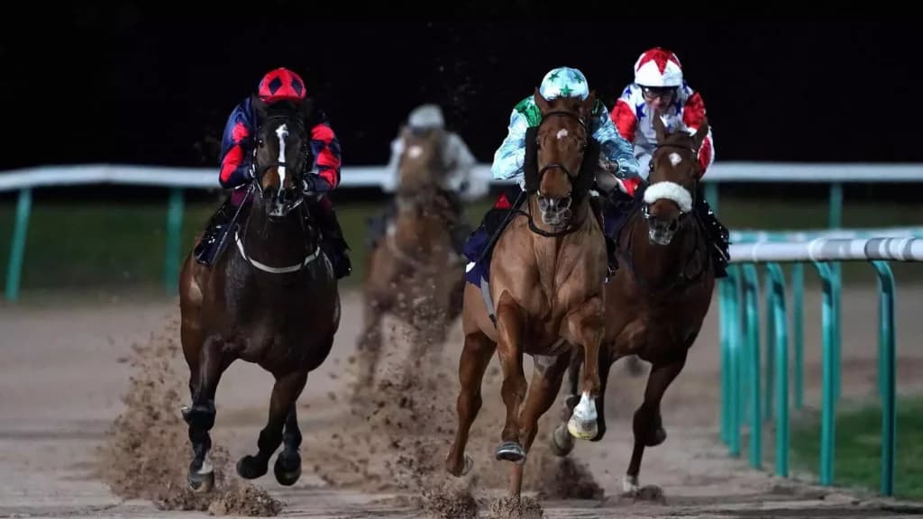 Tuesday’s Horse Racing Tips: Southwell, November 28th