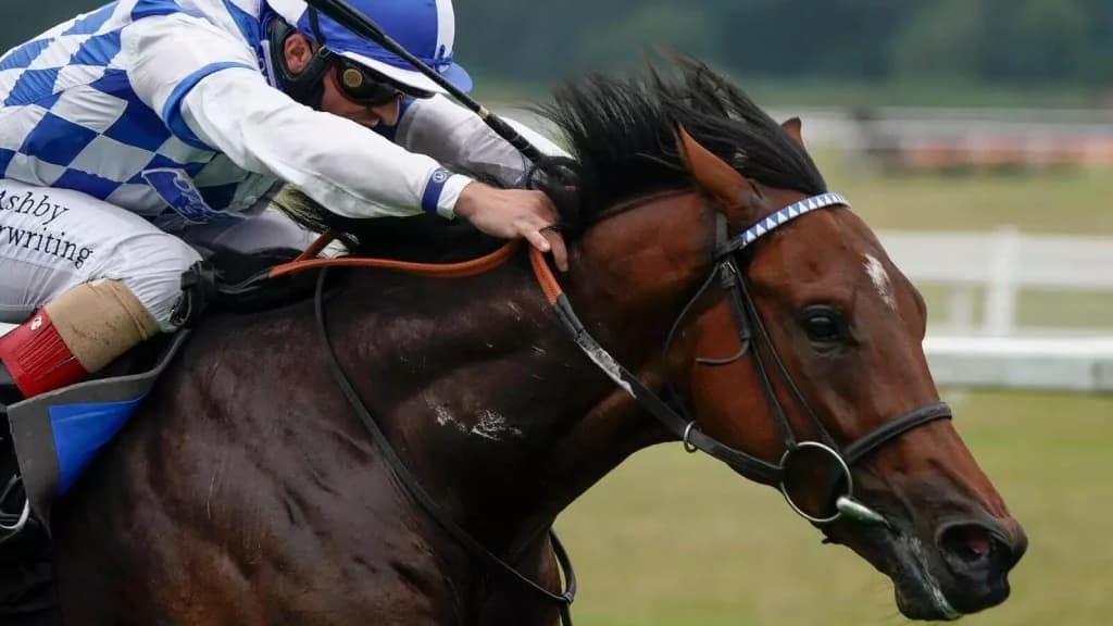 Thursday’s Horse Racing Tips: Newbury, November 9th