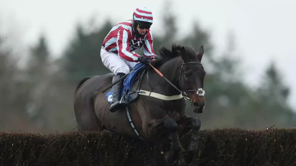 Tuesday’s Horse Racing Tips: Exeter, October 18th