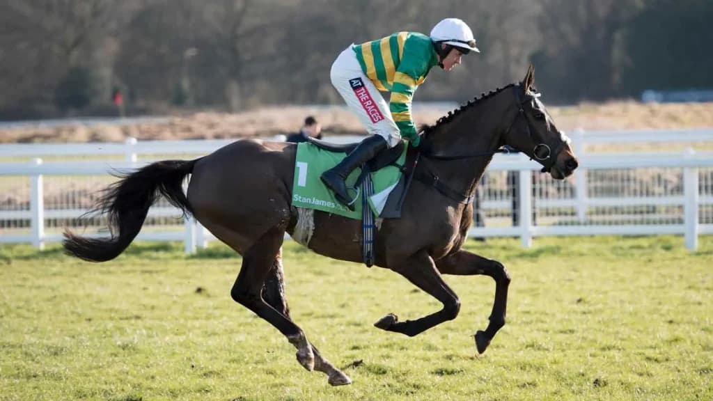 Friday's Horse Racing Tips: Newbury, July 19th