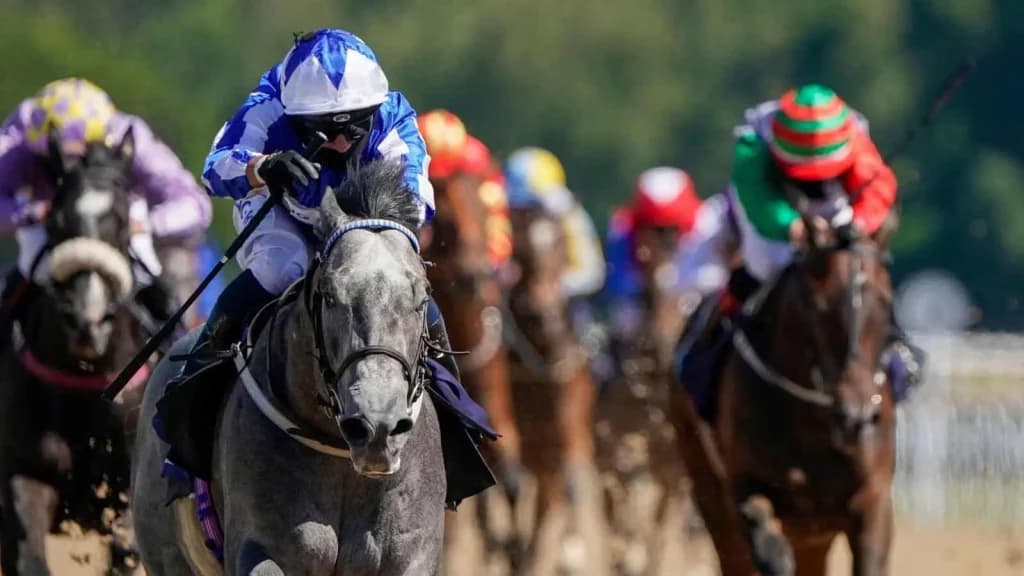 Saturday’s Horse Racing Tips: Newcastle, Newmarket, June 29th