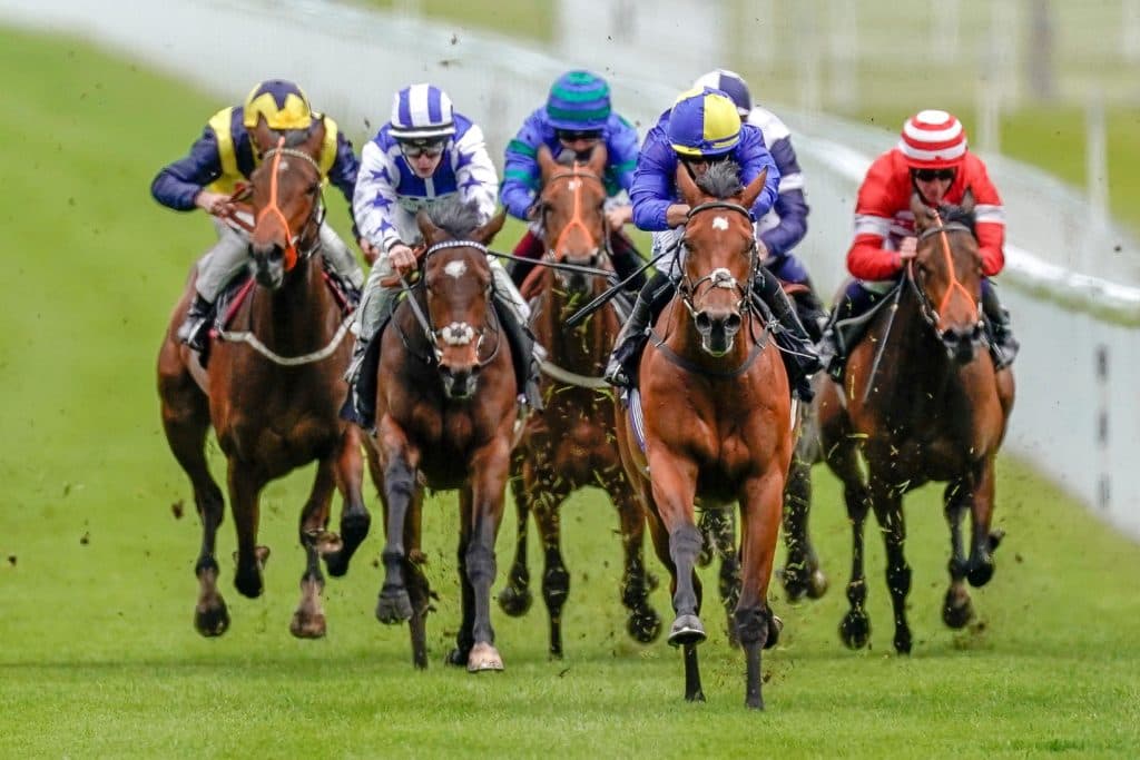 Today's Horse Racing Tips: Friday May 20th