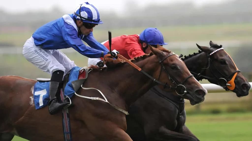 Thursday's Horse Racing Tips: Carlisle, August 29th